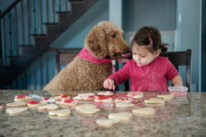 Valentine’s Day ideas with child and dog decorating cookies at home